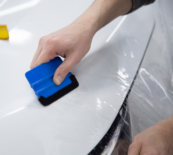 Belleza y Protección